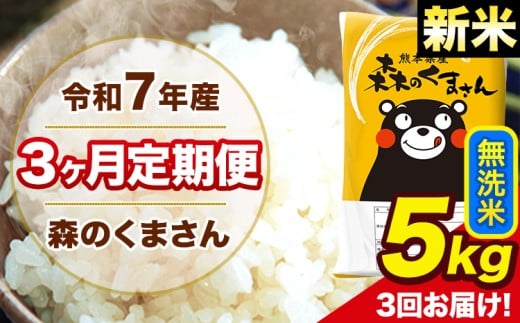 新米 令和7年産 森のくまさん 無洗米 5kg 5kg×1袋 計3回お届け 《1月から出荷開始》 お米 こめ 熊本県産 ご飯 備蓄
