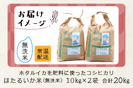 【先行予約】【新米】ほたるいか米（新米/無洗米２０kg）※10月以降順次発送