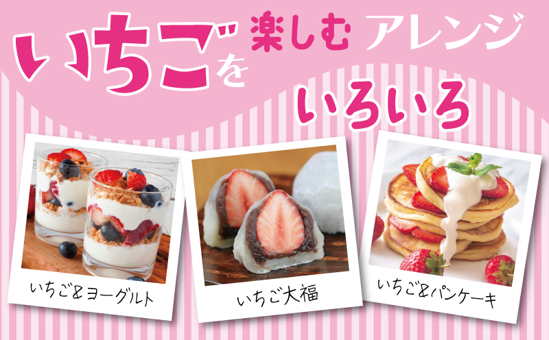 朝摘み 完熟いちご 2パック【化粧箱入り 苺 無添加 自然素材 フルーツ イチゴ 高評価 数量限定】 G1491