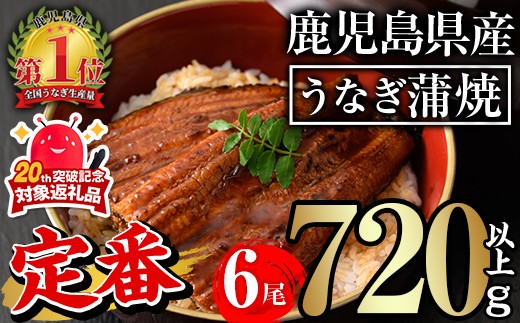 うなぎ蒲焼 セット (計720g以上・ 約120g×6尾)  ＜定番＞ 無投薬！鹿児島県産 タレ・山椒付き 鰻 ウナギ うなぎ 国産 人気 鹿児島【西日本養鰻】B145-v04