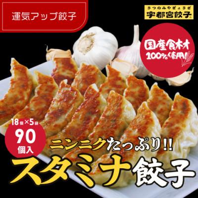 ふるさと納税 宇都宮市 宇都宮餃子 運気アップ餃子　ニンニクマシマシスタミナ餃子90個　保存料不使用