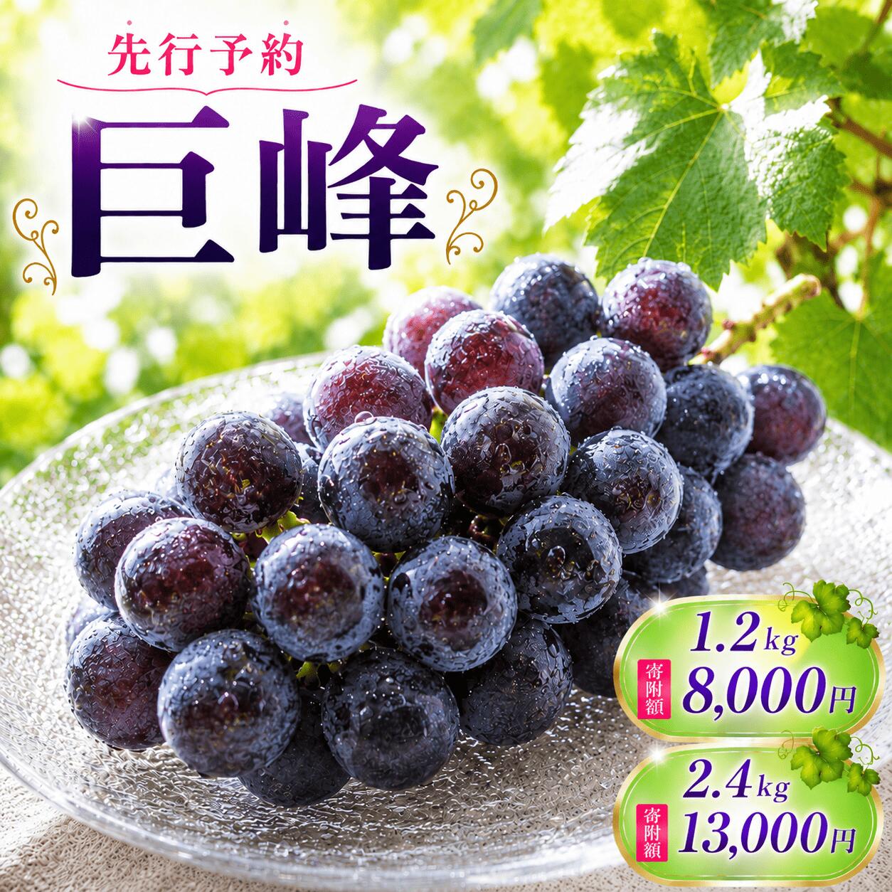 【ふるさと納税】 ぶどう 巨峰 2026年先行予約 選べる 容量 1.2kg 2.4kg ブドウ 葡萄 果物 フルーツ プレゼント ふるさと納税ぶどう ふるさと納税葡萄 ふるさと納税ブドウ プレゼント 高級 数量限定 福岡県 柳川市 送料無料 2026年8月下旬～9月上旬迄順次発送予定