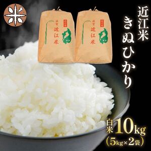 令和6年産 きぬひかり 白米 10kg 近江米 ( きぬひかり きぬひかり きぬひかり きぬひかり きぬひかり きぬひかり きぬひかり きぬひかり きぬひかり きぬひかり きぬひかり きぬひかり きぬひかり きぬひかり きぬひかり きぬひかり きぬひかり きぬひかり きぬひかり きぬひかり きぬひかり きぬひかり きぬひかり きぬひかり きぬひかり きぬひかり きぬひかり きぬひかり きぬひかり きぬひかり きぬひかり きぬひかり きぬひかり きぬひかり きぬひかり きぬひかり きぬひかり きぬひかり きぬ