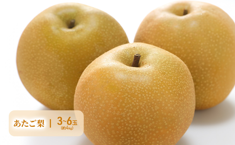 ぶどう 梨 定期便 2026年 先行予約 晴れの国 岡山 の フルーツ 定期便 4回コース 葡萄 なし 岡山県産 国産 セット ギフト