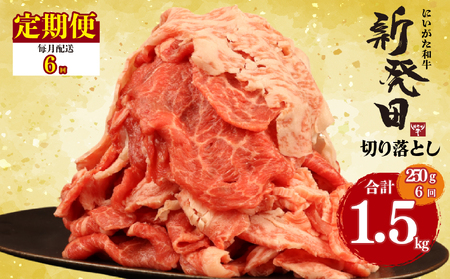 【6回定期便 】 牛肉 切り落とし 新発田牛 計1.5kg 切り落とし enomoto024