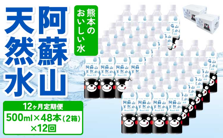 【12ヶ月定期便】熊本のおいしいお水 阿蘇山天然水 500ml×48本（2ケース）