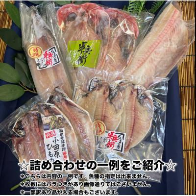 ふるさと納税 小田原市 【2ヵ月毎定期便】厳選!おまかせ干物セット【松】小田原の美味しい干物!【神奈川県小田原市早川】全2回 |  | 01