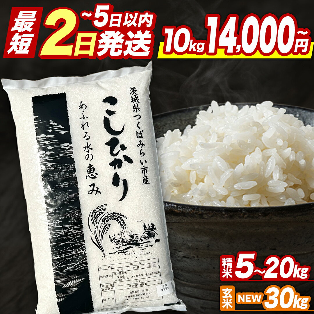 【ふるさと納税】★最短2営業日で発送★ コシヒカリ 精米 玄米 品種おまかせ 5kg 10kg 15kg 20kg 30kg ＼ 選べる発送時期 ／令和7年産 定期便 茨城県つくばみらい市産 ｜ 米 コメ 単一米 7500 8500 14000 16000 コスパ 茨城県産 国産 単一原料米