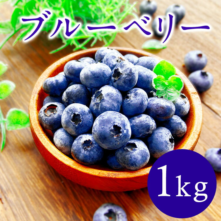 【ふるさと納税】熊本県 あさぎり町産 手摘みブルーベリー 生果実 約1kg 熊本県産 ブルーベリー フルーツ 農薬不使用【お届け時期：2025年6月下旬～8月中旬】