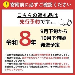 【2026年先行予約】シャインマスカット・ナガノパープル 約1kg (2房)【9月下旬～10月下旬にかけて順次発送予定】