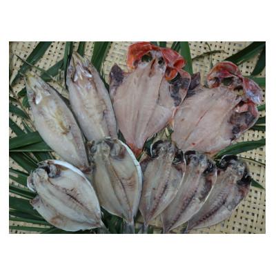 ふるさと納税 南伊豆町 漁協の逸品　ひもの詰め合わせ