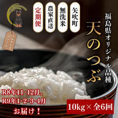 ふるさと納税 矢吹町 【発送月固定定期便】【2026年11月より順次発送予定】無洗米 天のつぶ10kg全6回