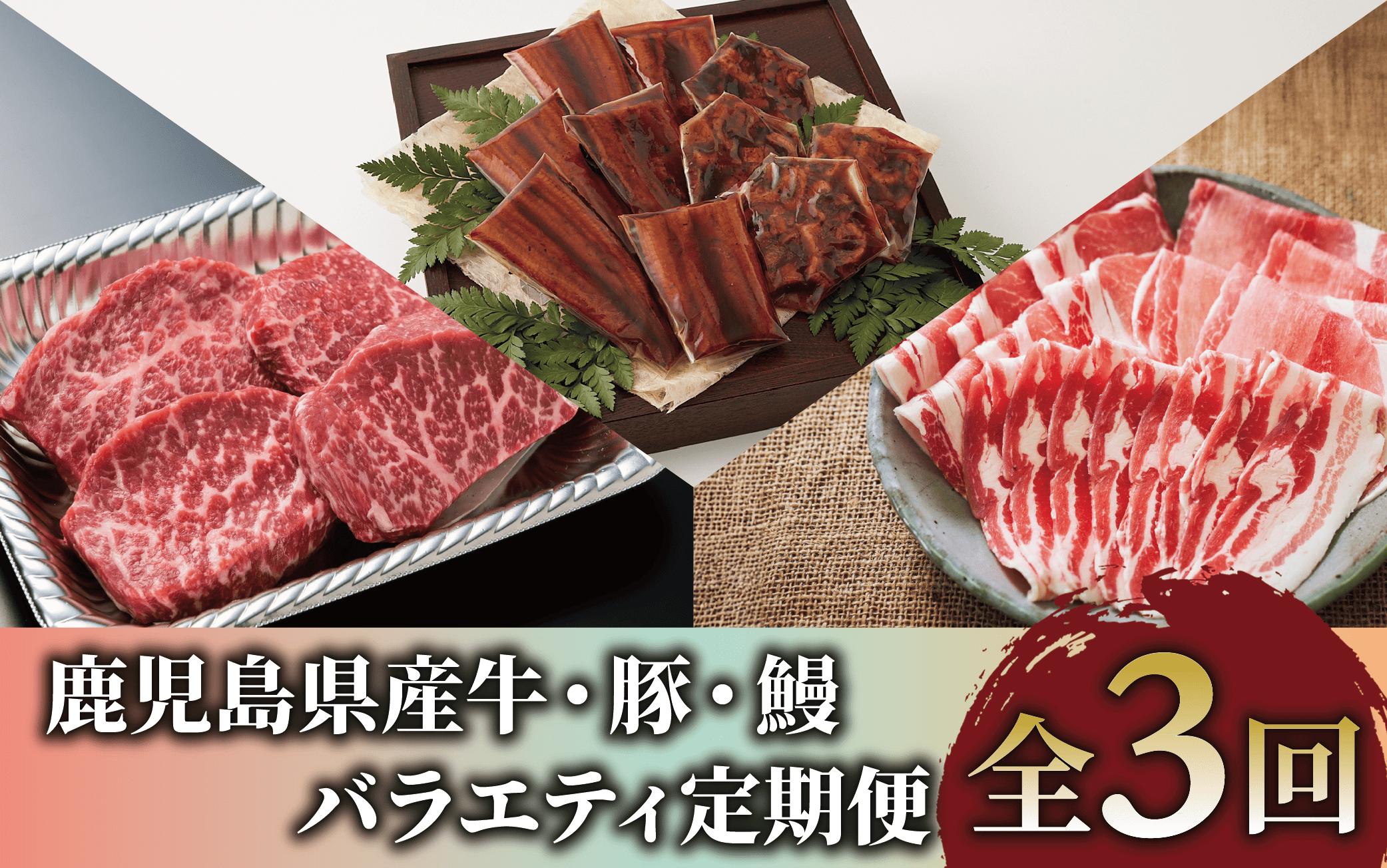 【全３回定期便】鹿児島県産牛・豚・鰻バラエティ定期便(IBZ999-004) 牛 豚 鰻 牛肉 豚肉 肉 うなぎ 国産 鹿児島県産 鹿児島産 セット 頒布会 定期 ステーキ しゃぶしゃぶ 蒲焼 すき焼 すきやき すき焼き 冷凍 うなぎの蒲焼 うなぎ蒲焼 かばやき