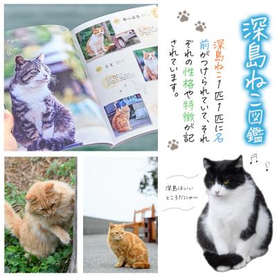 ふるさと納税 佐伯市 深島ねこ図鑑vol.3 (1冊) |  | 03