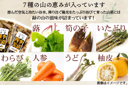 木沢特産 ふるさとの味 四季美漬 (しょう油漬) 250g×4袋【徳島県 那賀町 国産 山菜漬け 醤油漬 漬物 漬け物 加工品 山菜 味付き ごはんのおとも ご飯のお供 惣菜 おかず 副菜 小鉢 調味