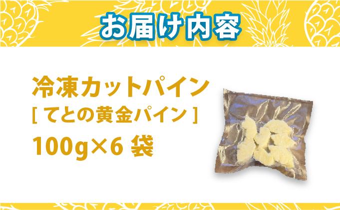 《6月以降発送》袋をあければそこは南国！完熟てとの黄金パインをカットして小分けでお届け！ 100g×6パック  TF-106 冷凍カットパイン（てとの黄金パイン）100g×6袋 | 沖縄県 石垣市 石