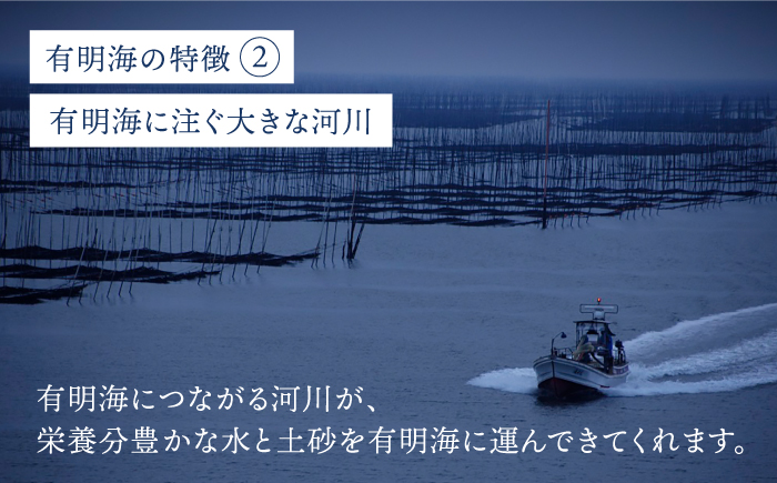 プレミアム佐賀海苔 味付け海苔 5袋詰（10切60枚×5） 株式会社サン海苔/吉野ヶ里町 [FBC021]