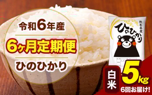 令和6年産 【6ヶ月定期便】 白米 米 ひのひかり 5kg《お申し込み月の翌月から出荷開始》熊本県 大津町 国産 熊本県産 白米 送料無料 ヒノヒカリ こめ お米