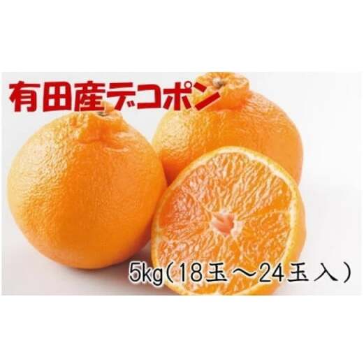 【2027年先行予約】【お味濃厚】紀州有田産 の デコポン 約5kg (18玉～24玉入り・青秀以上)_ZD7001