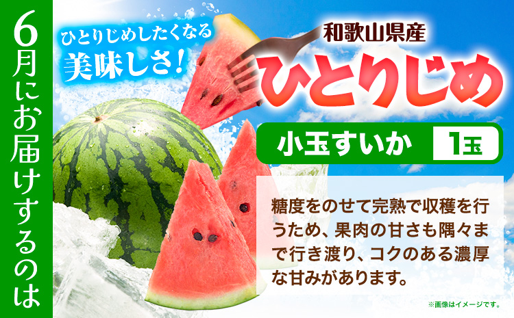 【発送月固定定期便】フルーツセット 果物セット(すいか 桃 ひらたねなし柿)【全３回】 魚鶴商店《6月中旬-10月末頃出荷予定(土日祝除く)》 和歌山県 日高町 すいか 小玉すいか ひとりじめ 桃 平