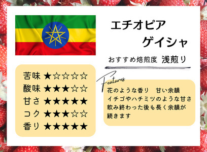 【定期便(12か月)】超希少種コーヒー 粉 『ゲイシャ』ゲシャビレッジ農園