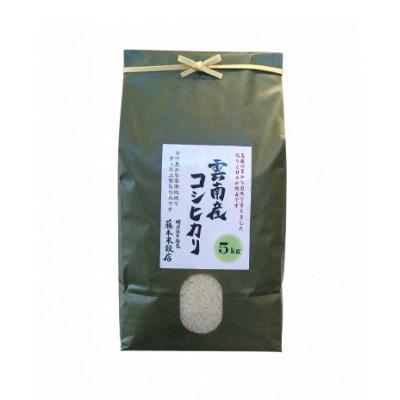 ふるさと納税 雲南市 島根県雲南市産コシヒカリ　5kg(5kg×1) |  | 01