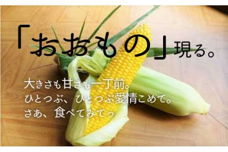 北海道栗山町産 スイートコーンその名は「おおもの」5本