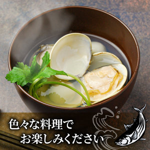 国産 鰹節 小袋 詰め合わせ 35g×15袋 計525g 花かつお 鰹節