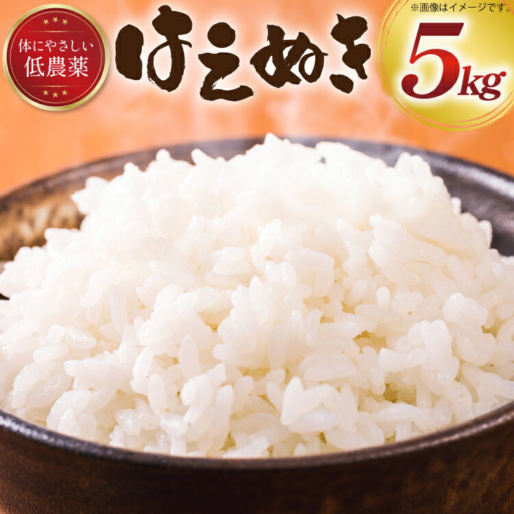 【ふるさと納税】 米 令和6年産 はえぬき 白米 5kg [冨樫商店 山形県 高畠町 tk06ayt290006] こめ コメ 精米 ごはん ご飯 ブランド米