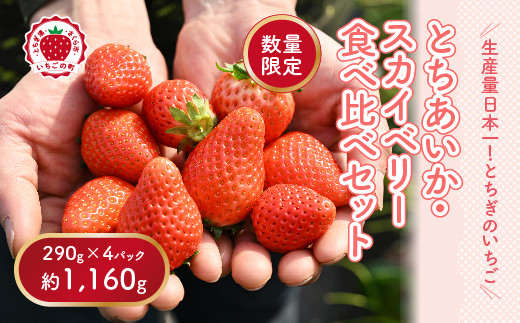 《数量限定》いちご厳選！さくら市産 とちあいか・スカイベリー食べ比べセット（290g×4パック） ｜いちご イチゴ 苺 先行予約 栃木県 果物 くだもの フルーツ とちあいか スカイベリー 新鮮 贈答 ギフト 高級 食べ比べ  ※2027年1月～発送
