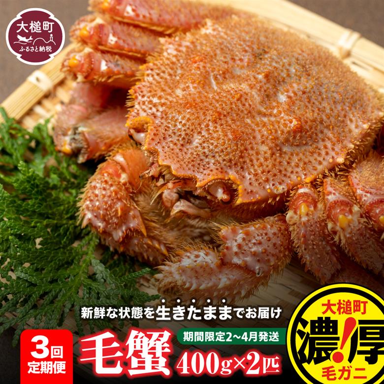 【令和8年発送先行予約】【3回定期便】三陸産！活毛ガニ 400g相当×2杯【08】 【2026年2月～4月発送】