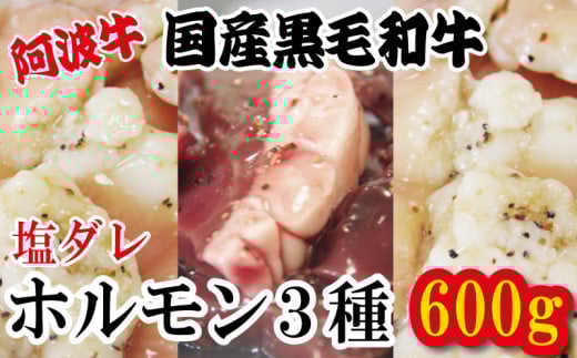 ホルモン 小腸 大腸 ハツ 阿波牛 塩漬け 200g×3パック 小分け 計600g  国産 牛 黒毛和牛 鍋 焼肉 脂 焼き ホソ シマチョウ もつ 肉 牛肉 BBQ 【北海道・東北・沖縄・離島への配送不可】