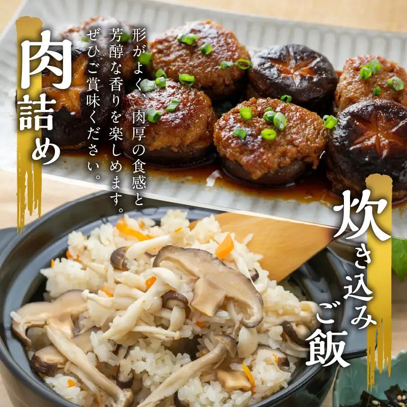大分産乾しいたけと豊後きのこカレーと豊後きのこめし F07027
