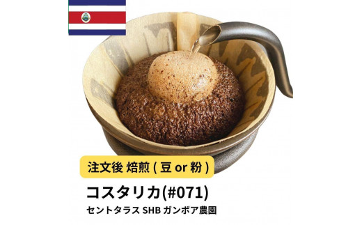 
                  コーヒー #071 コスタリカ セントタラス SHB ガンボア農園 310g 当日焙煎 大山珈琲 （豆または中挽きから選択）
                