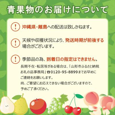 ふるさと納税 山形市 山形産 西瓜(すいか) L 1玉(6kg以上) 【令和8年産】FU23-060 |  | 01