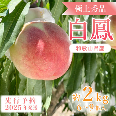 先行受付!　桃の王様【白鳳】　特秀品　約2kg　6～9個入【配送不可地域：離島】