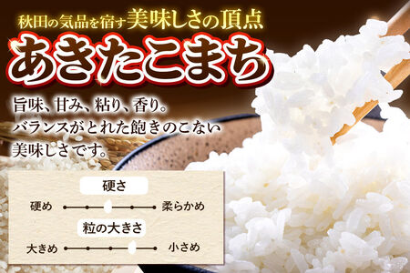 《令和8年産 新米受付》《定期便2ヶ月》米 あきたこまち 10kg（5kg×2袋）【無洗米】秋田県産