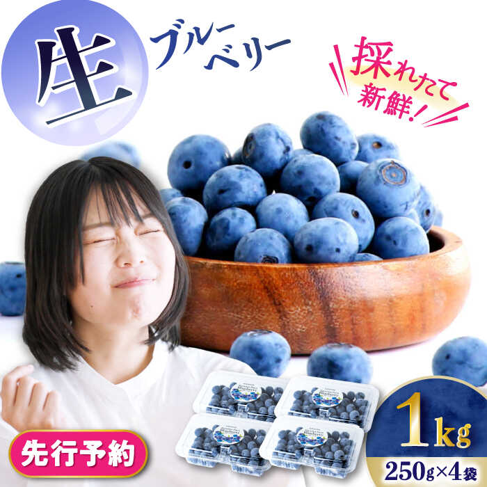 【ふるさと納税】【2026年7月上旬頃より順次発送予定】生ブルーベリー 1kg（250g×4袋）/ ベリー べりー ブルーベリー ぶるーべりー 生 小分け 果物 くだもの フルーツ ふるーつ 先行予約 / 大村市 / おおむら夢ファームシュシュ[ACAA005]