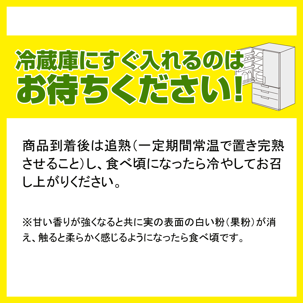 【2024年発送】大城正雄マンゴー農園のキーツマンゴー1.5kg_イメージ3