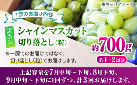 【先行予約】【3回定期便】 訳あり シャインマスカット 切り落とし 約700g  【合同会社 社方園】[ZBZ046]