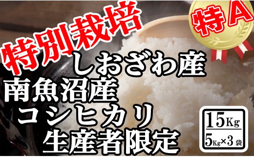 【令和8年産　新米予約】特別栽培 生産者限定 南魚沼しおざわ産コシヒカリ15Kg【銘柄米 ブランド米 精米 こしひかり コシヒカリ 魚沼産 新潟米 産地直送 お米 米 こめ コメ ご飯 御飯 ごはん】【2026年10月上旬より1ヶ月以内に順次発送予定】
