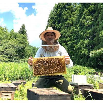 ふるさと納税 大野町 岐阜県産　百花みつ　500g　×2本セット |  | 01