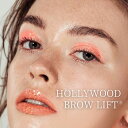 【ふるさと納税】HOLLYWOOD BROW LIFT® ( ハリウッドブロウリフト ) 眉 眉毛 眉毛パーマ メイク アイブロウ サロン