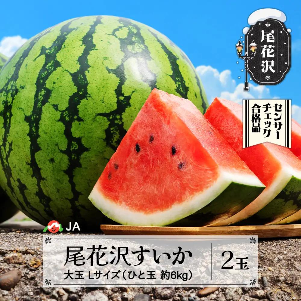 尾花沢すいか スイカ Lサイズ×2玉 令和9年産 ja-su1xx2