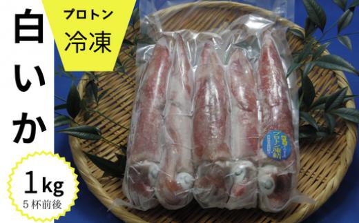 
            冷凍白いか1kg入(5杯前後)
          