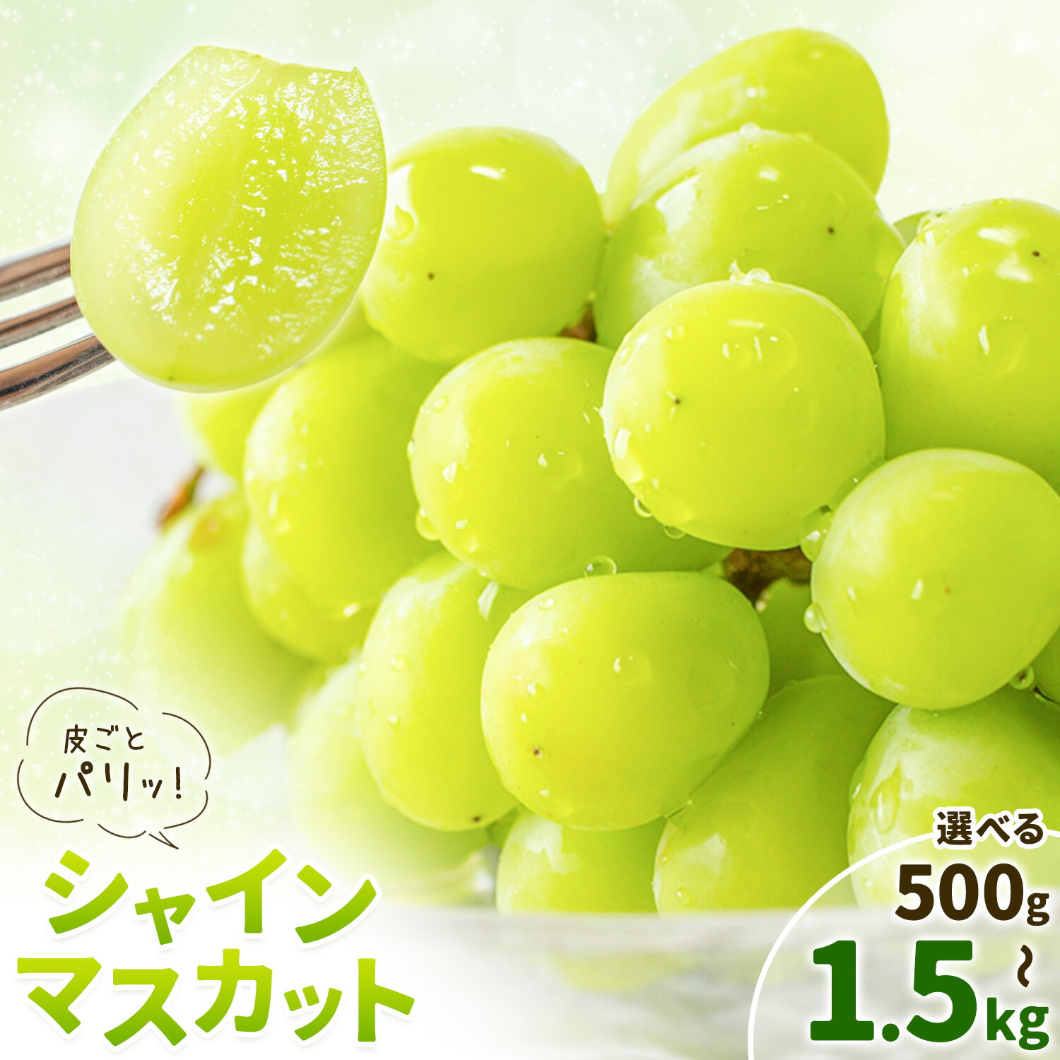 【ふるさと納税】シャインマスカット 選べる内容量 500g 800g 1.5kg 株式会社エフビーネット《8月中旬-9月上旬頃出荷》熊本県 菊池市 ぶどう ブドウ マスカット 果物 フルーツ デザート ギフト ご贈答 熊本県産