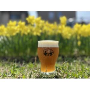 クラフトビール 定番4種類と限定2種類 計6本セット【配送不可地域:離島】【1653310】