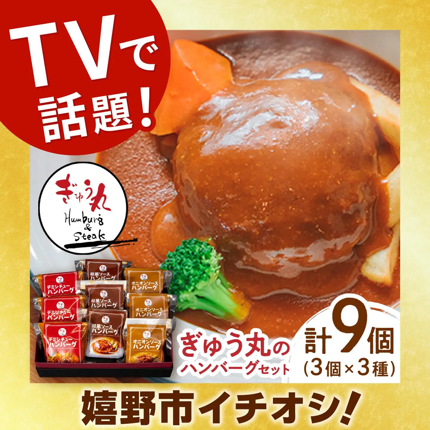 ハンバーグ 3種セット ぎゅう丸 ハンバーグ 計9個 NCQ001 