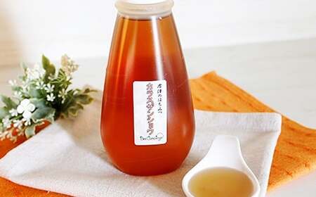 純国産  烏山椒 はちみつ 520g｜非加熱 純粋 天然 蜂蜜 単花蜜 からすざんしょう ハチミツ ギフト｜千葉県 君津市