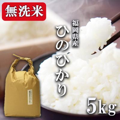 ふるさと納税 小郡市 R7年産 無洗米 5kg 福岡県産 ひのひかり 米[No5354-0268]
